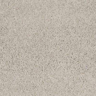 Shaw Floors Value Collections Platinum Twist Net Putty 00125_E9330