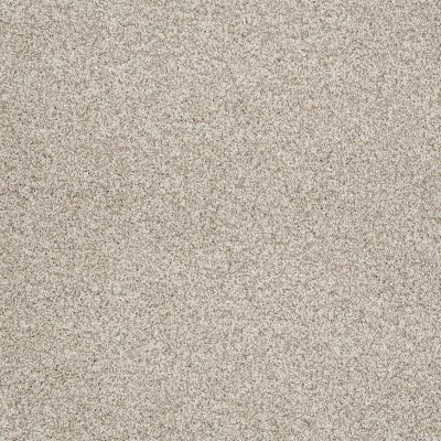 Shaw Floors Value Collections Gold Texture Tonal Net Anchorage Texture 00192_E9332