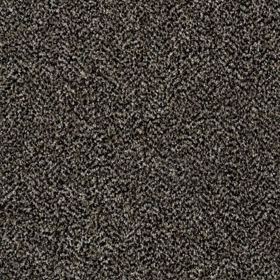 Shaw Floors Simply The Best Work The Color Black Granite 00503_E9346