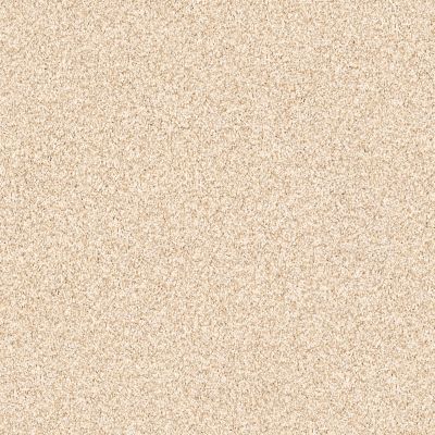 Shaw Floors Foundations Palette Frosted Honey 00200_E9359