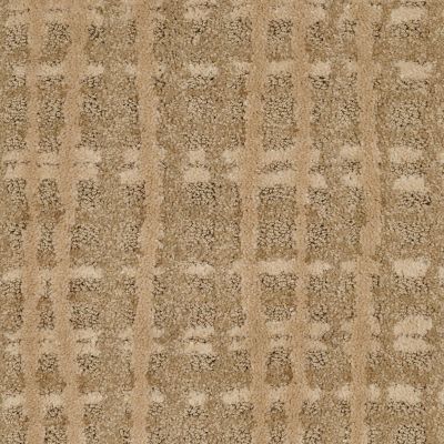 Shaw Floors Foundations Pure Envy Wicker 00200_E9361