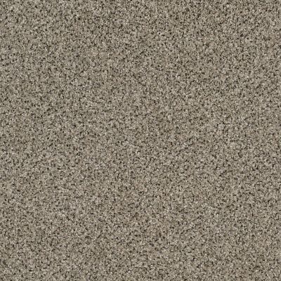 Shaw Floors Foundations Effervescent Granite 00103_E9366
