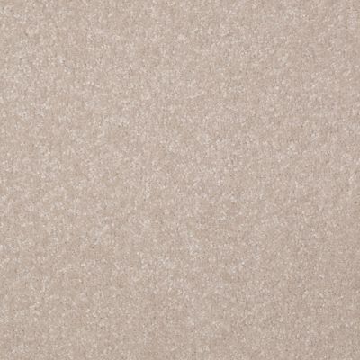 Shaw Floors Value Collections Passageway 3 Net Cloud 00102_E9377