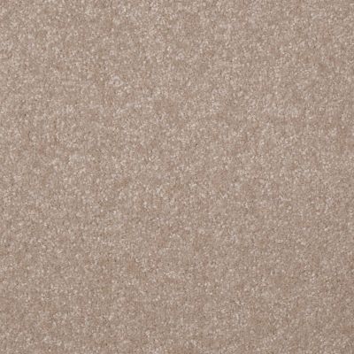 Shaw Floors Value Collections Passageway 3 Net Fresco 00109_E9377