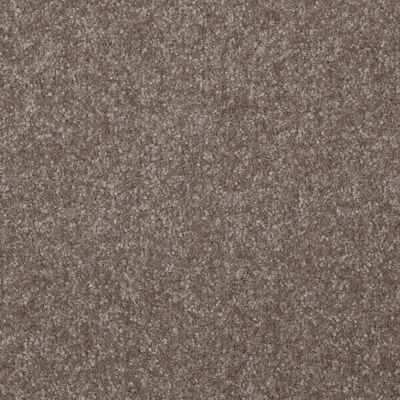 Shaw Floors Value Collections Passageway 3 Net Field Stone 00111_E9377
