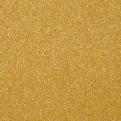 Shaw Floors Value Collections Passageway 3 Net Daffodil 00205_E9377