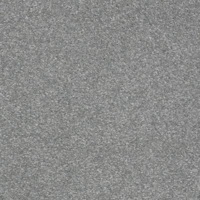 Shaw Floors Value Collections Passageway 3 Net Sea Mist 00400_E9377
