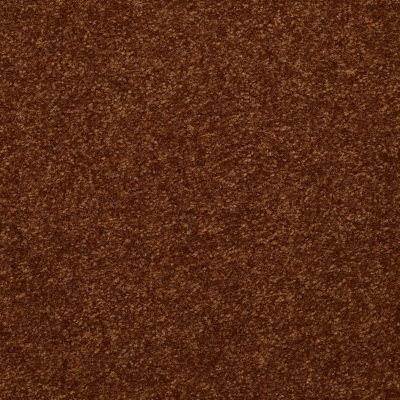 Shaw Floors Value Collections Passageway 3 Net Gingerbread 00602_E9377