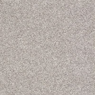 Shaw Floors Anso It Goes Silver Charm 00501_E9403