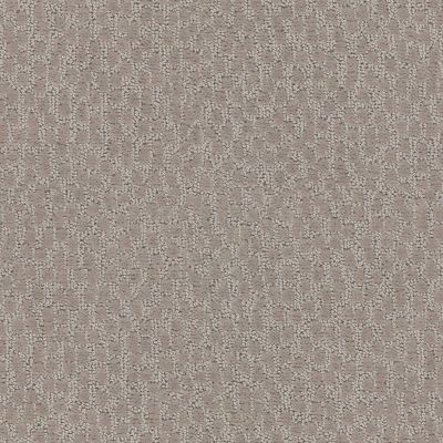 Shaw Floors Simply The Best Lattice Walnut 00752_E9415