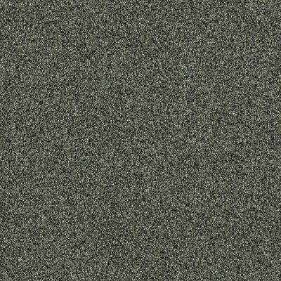 Shaw Floors Value Collections Anso It Goes Net Lush 00300_E9418