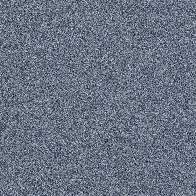 Shaw Floors Value Collections Anso It Goes Net Ocean Blue 00400_E9418