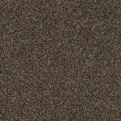 Shaw Floors Simply The Best Of Course We Can I 12′ River Walk 00701_E9421