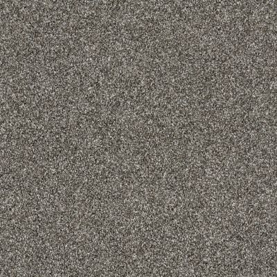 Shaw Floors Simply The Best Of Course We Can I 15′ Ashes 00501_E9422