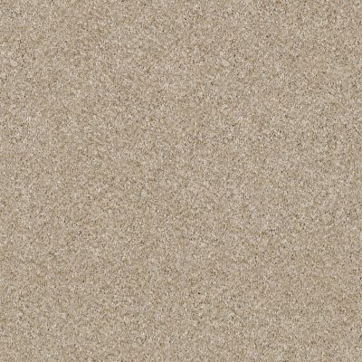 Shaw Floors Simply The Best Of Course We Can II 12′ Linen 00100_E9423
