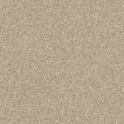 Shaw Floors Simply The Best Of Course We Can II 12′ Sepia 00105_E9423
