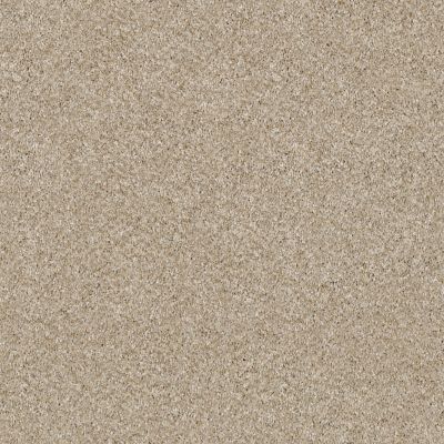 Shaw Floors Simply The Best Of Course We Can II 15′ Linen 00100_E9424