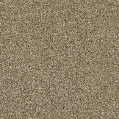 Shaw Floors Simply The Best Of Course We Can II 15′ Biscotti 00102_E9424
