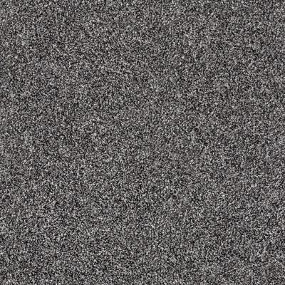 Shaw Floors Simply The Best Of Course We Can III 12′ Shadow 00502_E9425