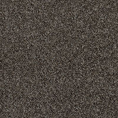 Shaw Floors Simply The Best Of Course We Can III 12′ Boulder 00504_E9425