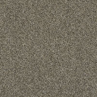 Shaw Floors Simply The Best Of Course We Can III 15′ Dynamic 00500_E9426