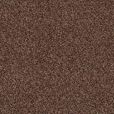 Shaw Floors Simply The Best Of Course We Can III 15′ Ocher 00600_E9426