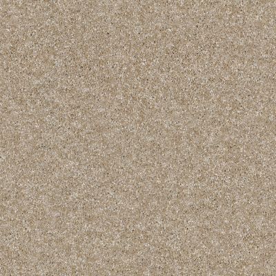 Shaw Floors Value Collections Of Course We Can II 12′ Net Sand Castle 00101_E9435