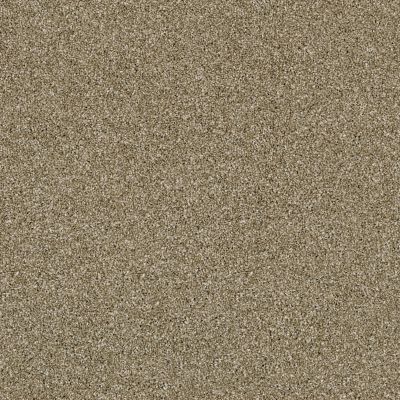 Shaw Floors Value Collections Of Course We Can II 12′ Net Biscotti 00102_E9435