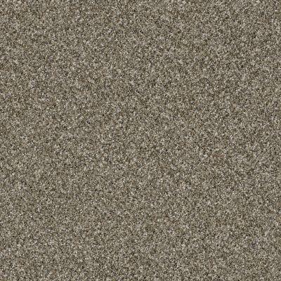 Shaw Floors Value Collections Of Course We Can II 12′ Net Arbor 00104_E9435