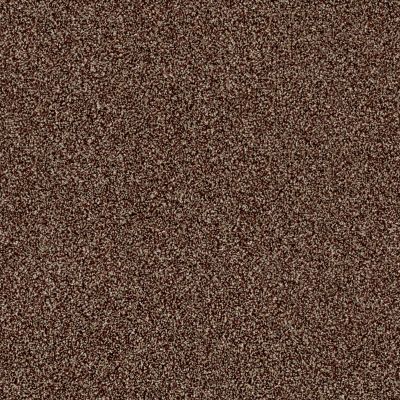 Shaw Floors Value Collections Of Course We Can II 12′ Net Ocher 00600_E9435