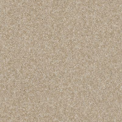 Shaw Floors Value Collections Of Course We Can II 15′ Net Sepia 00105_E9438