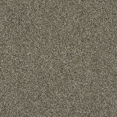 Shaw Floors Value Collections Of Course We Can II 15′ Net Dynamic 00500_E9438