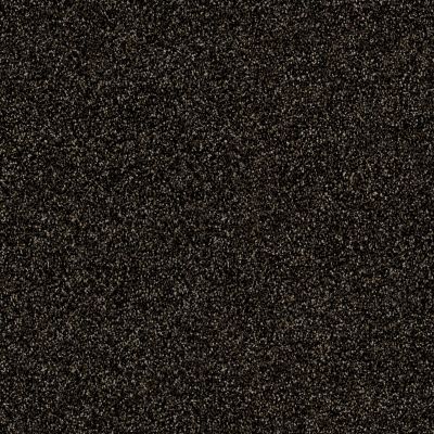 Shaw Floors Value Collections Of Course We Can II 15′ Net Rich Earth 00704_E9438