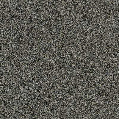 Shaw Floors Value Collections Of Course We Can III 12′ Net Marina 00400_E9441