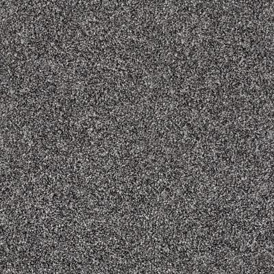 Shaw Floors Value Collections Of Course We Can III 12′ Net Shadow 00502_E9441