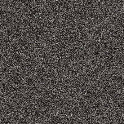 Shaw Floors Value Collections Of Course We Can III 12′ Net Soot 00503_E9441