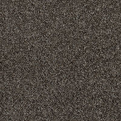 Shaw Floors Value Collections Of Course We Can III 12′ Net Boulder 00504_E9441