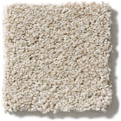 Shaw Floors Life S Trend I Mummy 00102 E9452 Flooring You Well Tom cruise stars in the new remake of the horror classic, the mummy, now playing on shaw video on demand! flooring you well