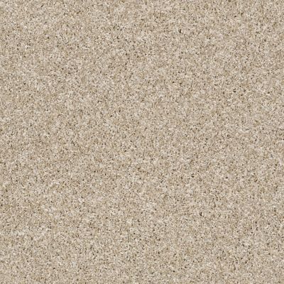 Shaw Floors Value Collections Work The Color Net Biscotti 00100_E9458
