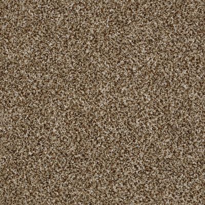 Shaw Floors Value Collections Work The Color Net Honey Bear 00200_E9458