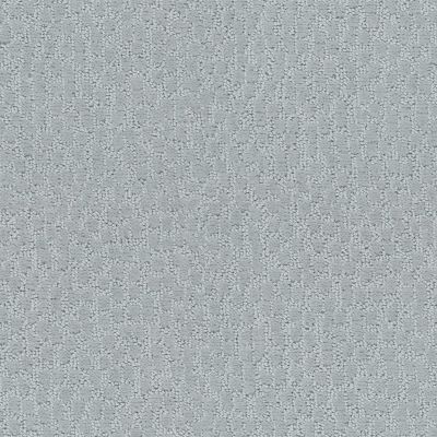 Shaw Floors Value Collections Lattice Net Ub Silver 00530_E9469