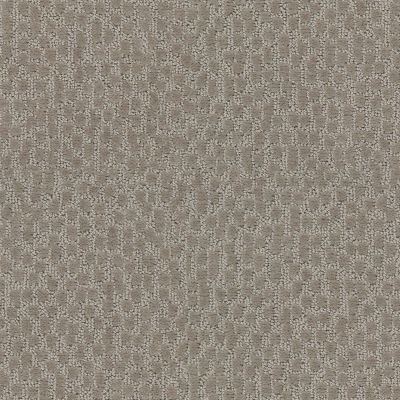 Shaw Floors Value Collections Lattice Net Ub Bronze 00761_E9469