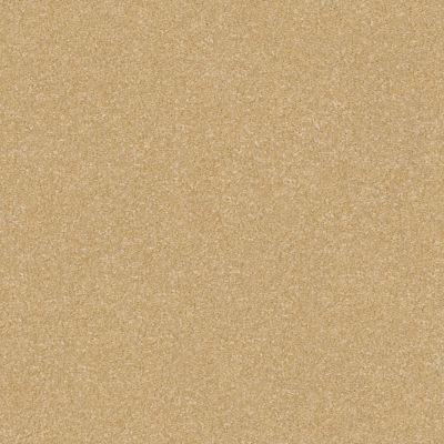 Shaw Floors Value Collections Luxuriant Net Popsicle Stick 00260_E9470