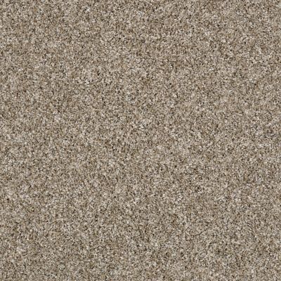 Shaw Floors Work The Color Ub Sugar Cookie 00101_E9473