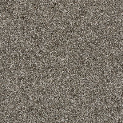 Shaw Floors Work The Color Ub Bird Bath 00700_E9473
