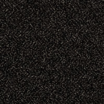 Shaw Floors You Can Do It III 15′ Wild Horses 00704_E9509