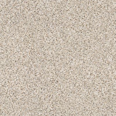 Shaw Floors Elemental Mix II Pixels 00170_E9565