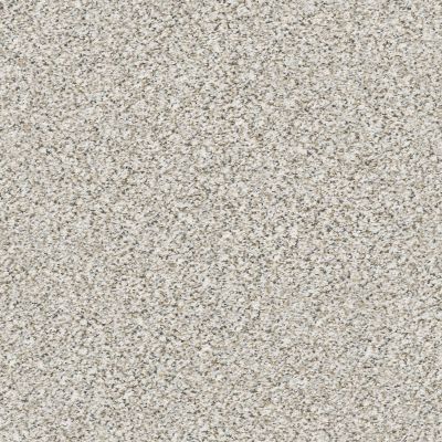 Shaw Floors Foundations Elemental Mix III Whitewash 00177_E9566