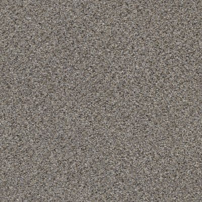 Shaw Floors Foundations Elemental Mix III Antique Pin 00571_E9566