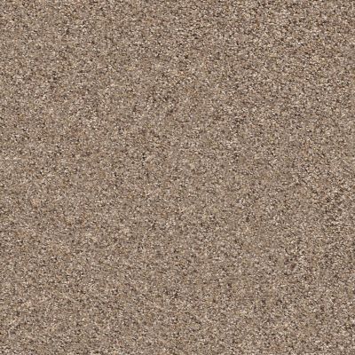 Shaw Floors Elemental Mix III Cobble Drive 00771_E9566